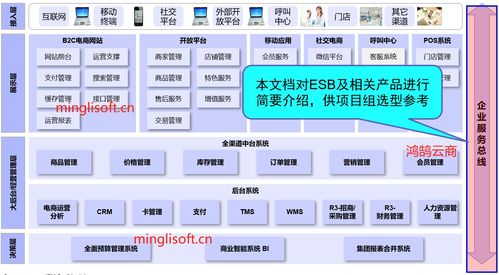 第一篇 java版spring cloud springboot mybatis uniapp b2b2c 多商户入驻商城 直播 电子商务之全渠道平台的建设规划esb 企业服务总线 架构与其他系统整合